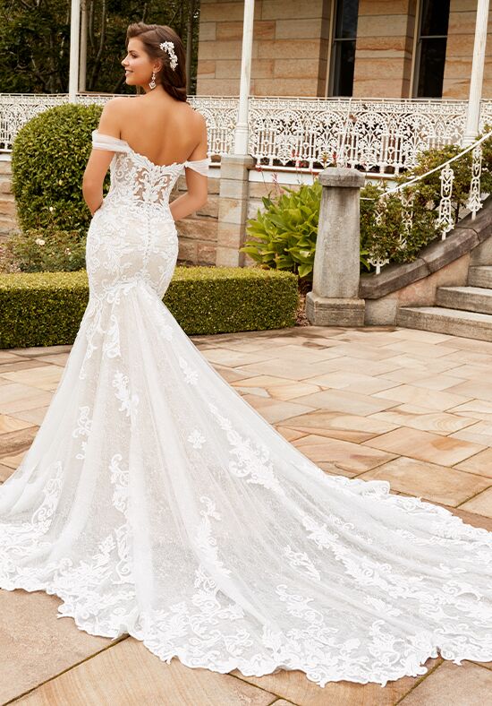 Wedding dresses by sophia tolli sale