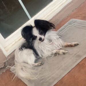 Gallery Photo 55