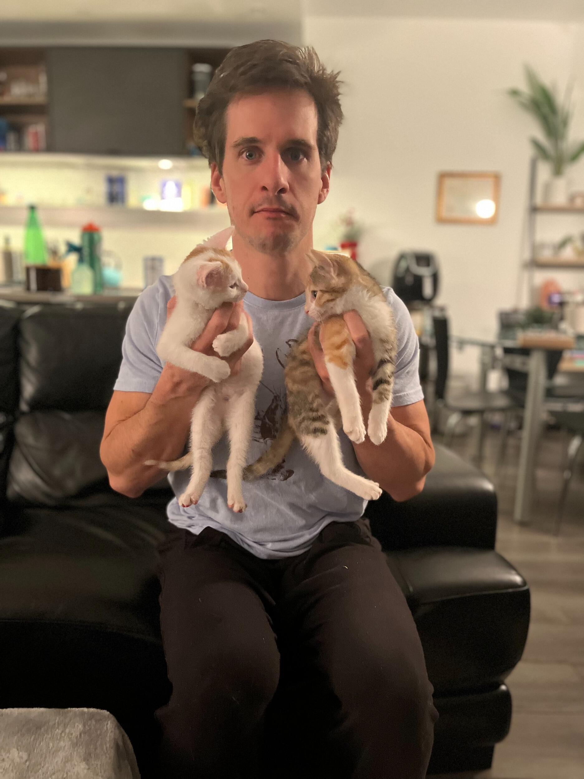 Adopted some kittens