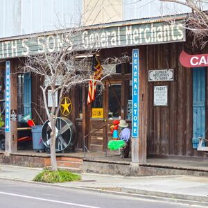 Gallery Photo 7