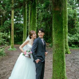 Gallery Photo 6