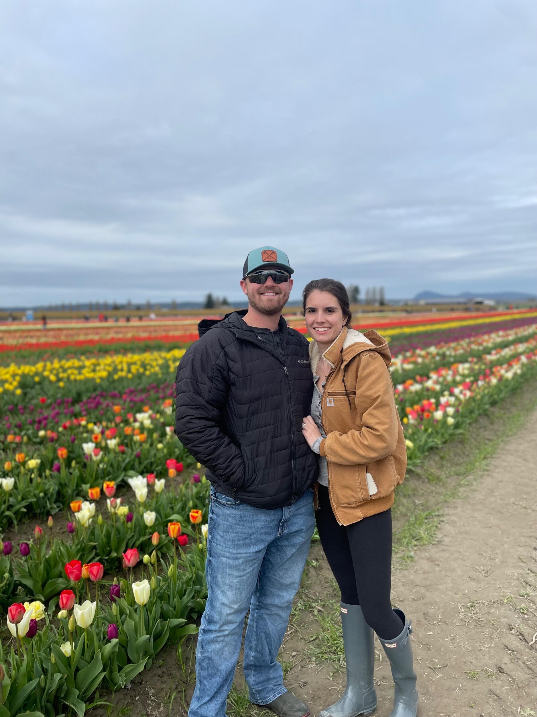 Tulip Festival in Mount Vernon, Wa. 