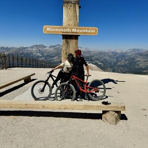 Gallery Photo 47