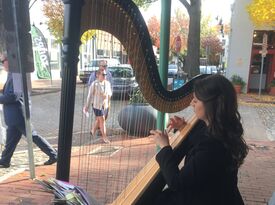 Alyssa Hall, Professional Harpist - Harpist - Stedman, NC - Hero Gallery 1