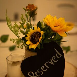 Gallery Photo 50