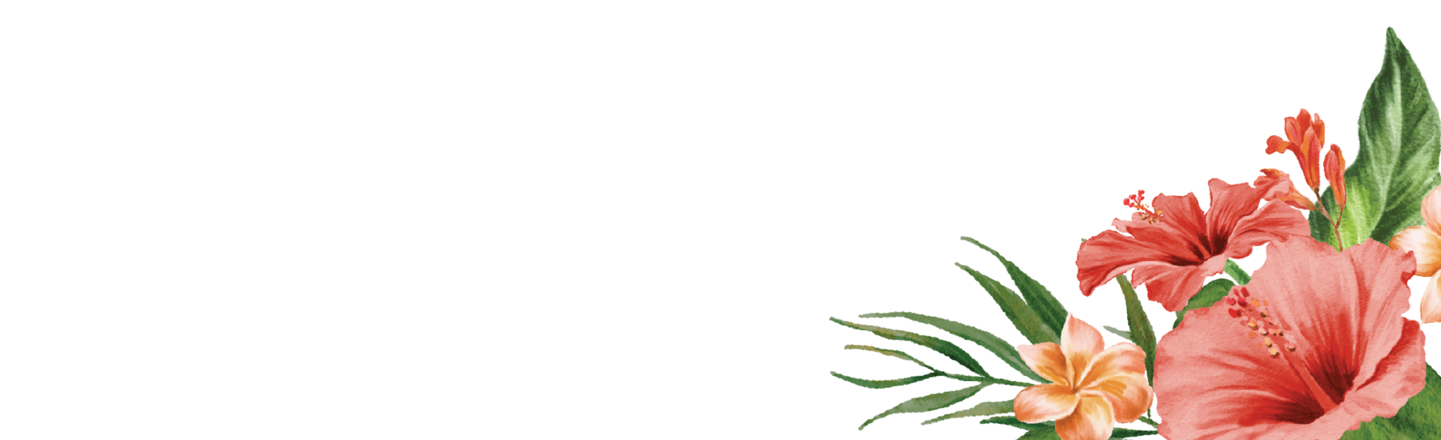 Bottom Theme Image