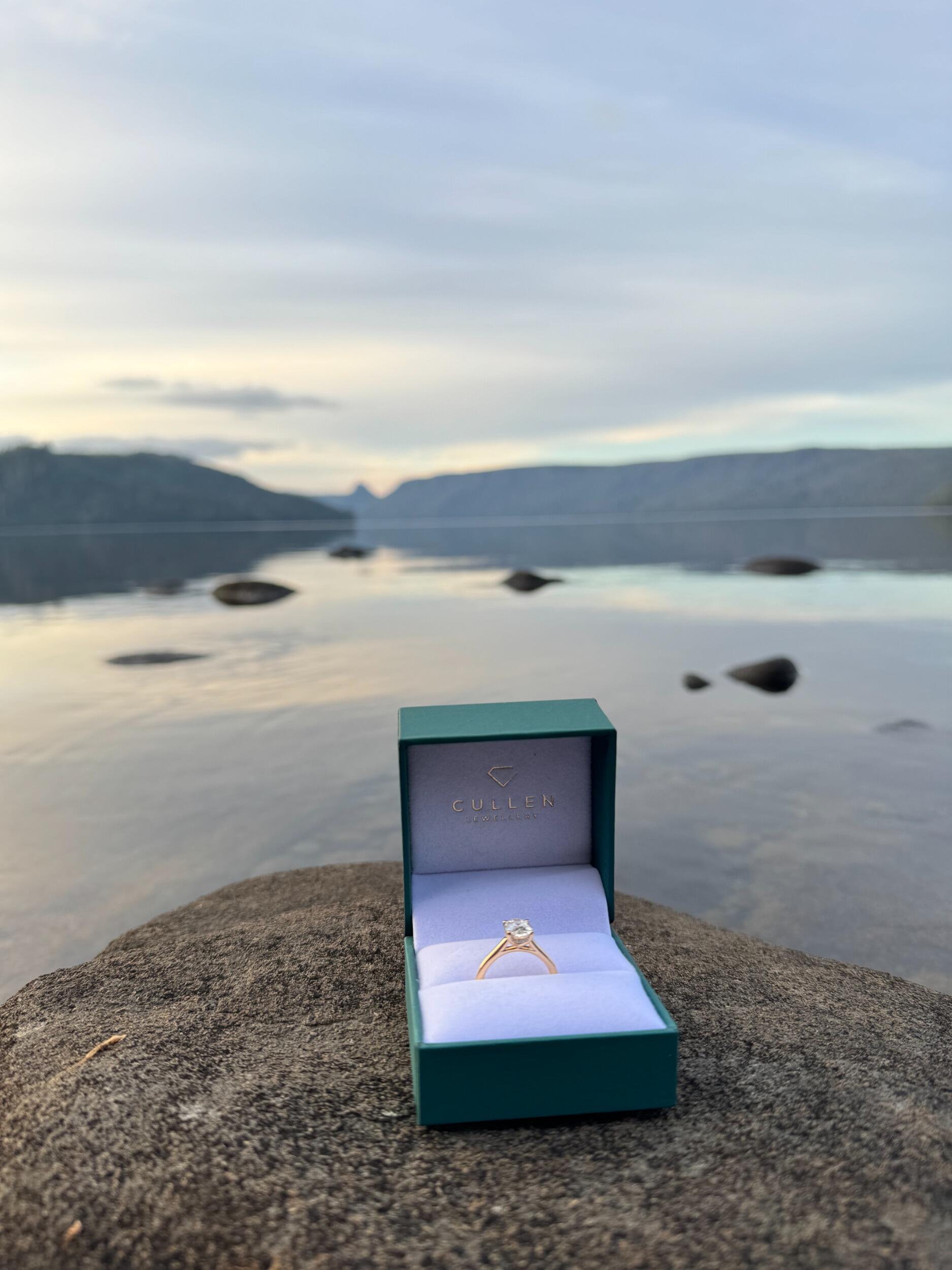 One Ring to Rule them All