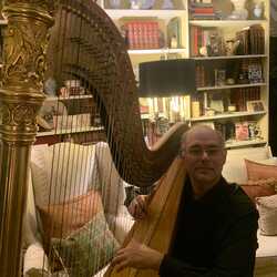 Harpist, Nicholas M. Mynyk, profile image