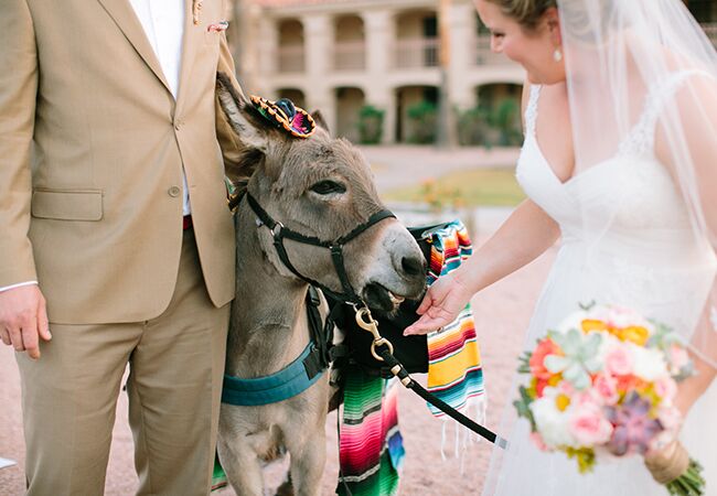 Photo: Vienna Glenn Photography // Featured: The Knot Blog