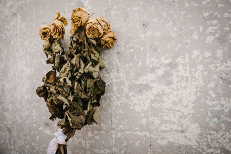 Wednesday Party Theme Ideas: dead flowers