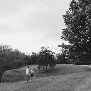 Gallery Photo 30