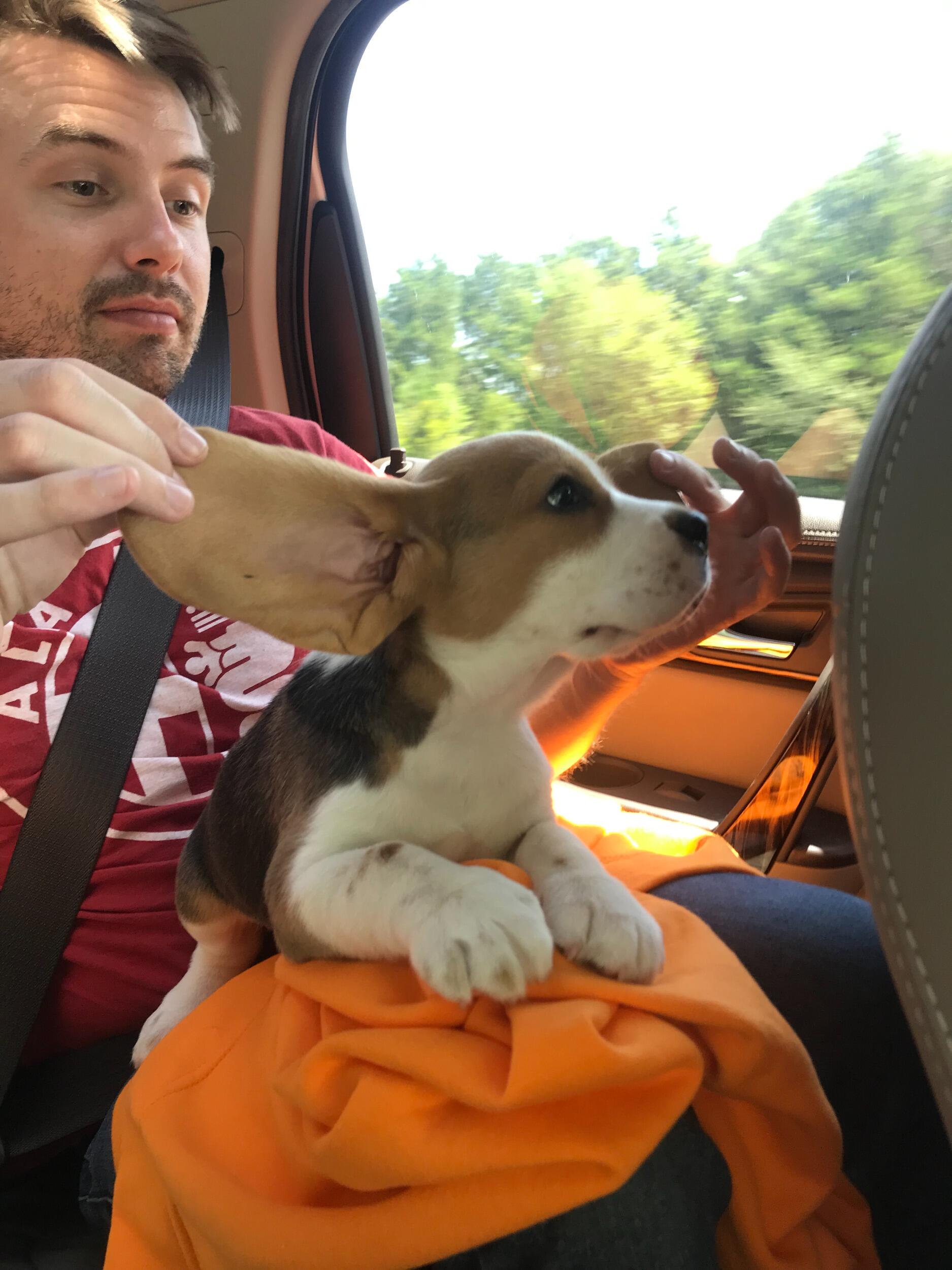 JB, Rhett, and her mother Karen go to pick up Rhett's new beagle puppy Goose.