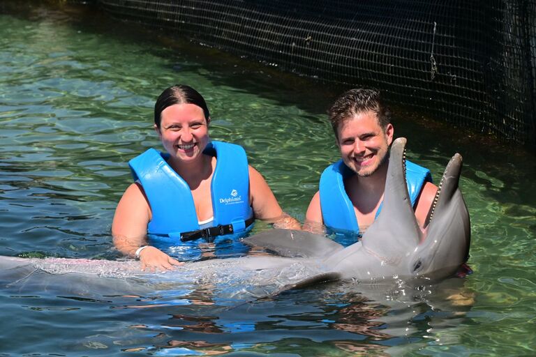 Delphinus. Puerto Morelos, Mexico.