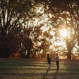 Gallery Photo 458