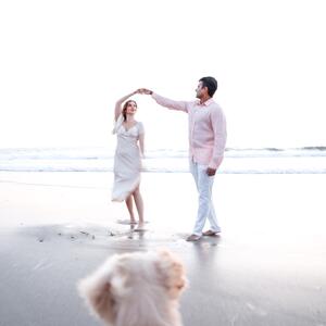 Gallery Photo 40