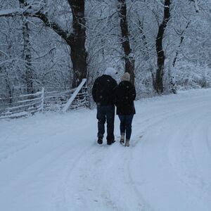 Gallery Photo 3