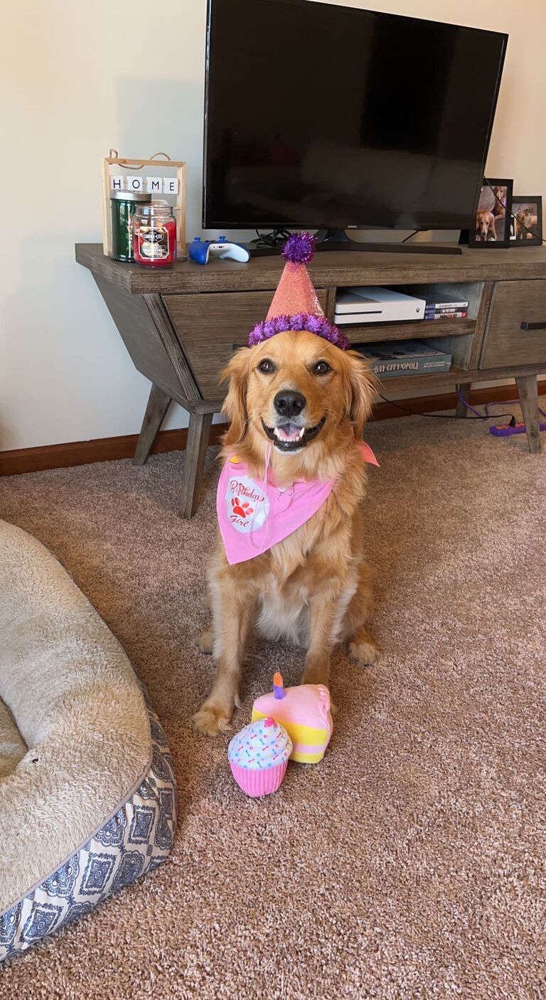 Stella’s second birthday celebration in Charleston, WV