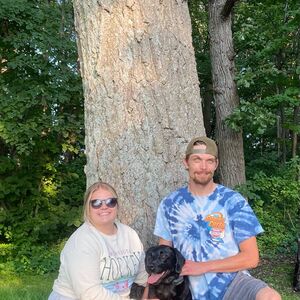 Gallery Photo 22