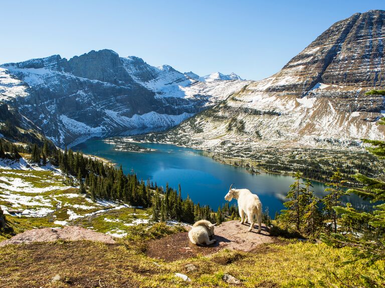 Scenic view of Glacier National Park in Montana