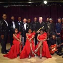 Fantasy Band ft Precious Taylor & Motown Tributes, profile image