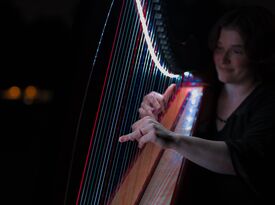 Rose Melody Performances - Harpist - Tallmadge, OH - Hero Gallery 4