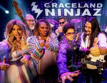 Graceland Ninjaz - Cover Band - Dallas, TX - Hero Main