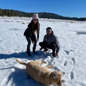 Gallery Photo 25