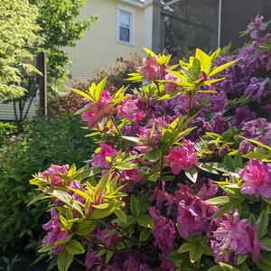 Gallery Photo 23