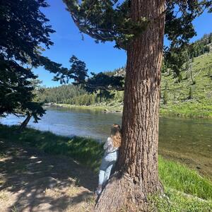 Gallery Photo 233