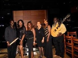 NJ Ladyfingers  Smooth Jazz Band - Jazz Band - Tampa, FL - Hero Gallery 4