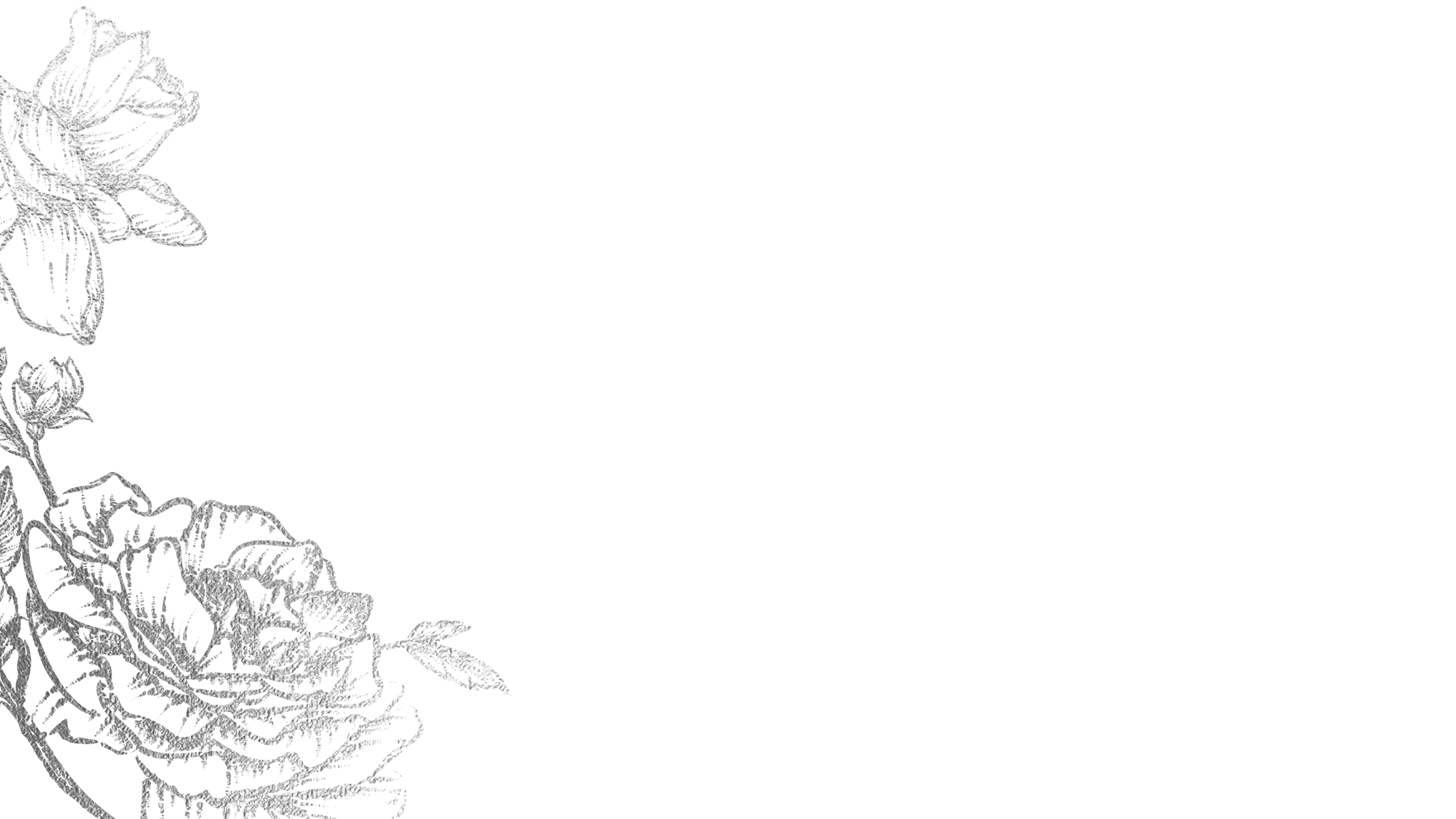 Bottom Theme Image