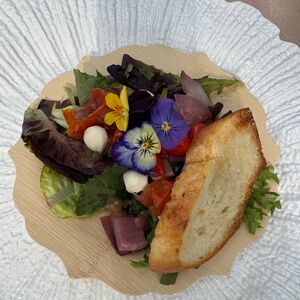 Gallery Photo 226