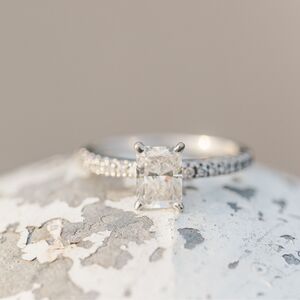 Gallery Photo 11