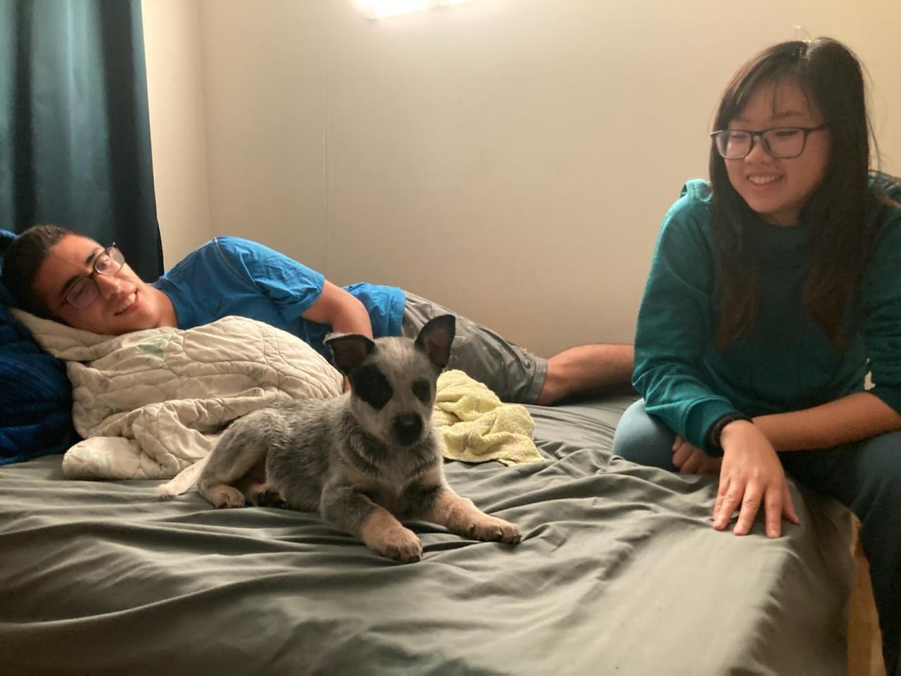 Adopted a monster. I mean puppy.