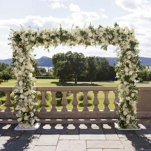 Gallery Photo 194