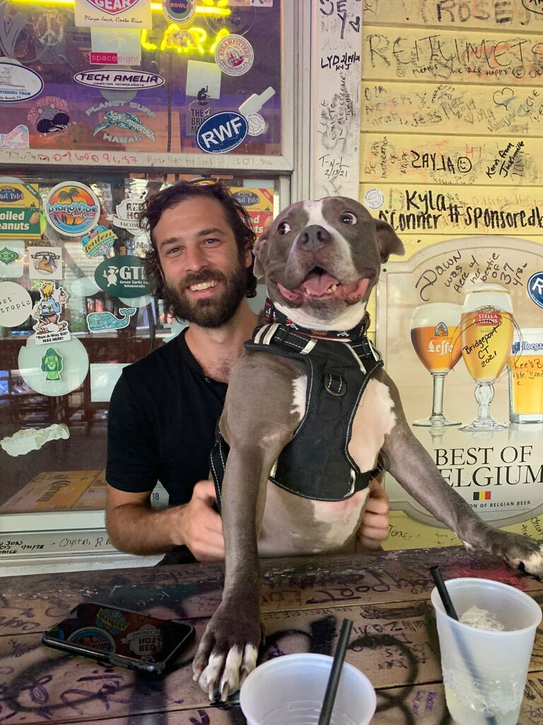 Gibson became a regular at the Turtle