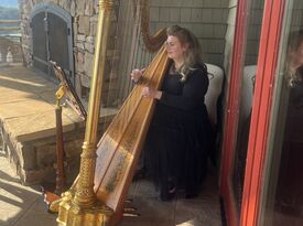 Atlanta Harpist Paula Fagerberg - Harpist - Alpharetta, GA - Hero Gallery 2