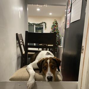 Gallery Photo 113