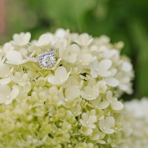Gallery Photo 37