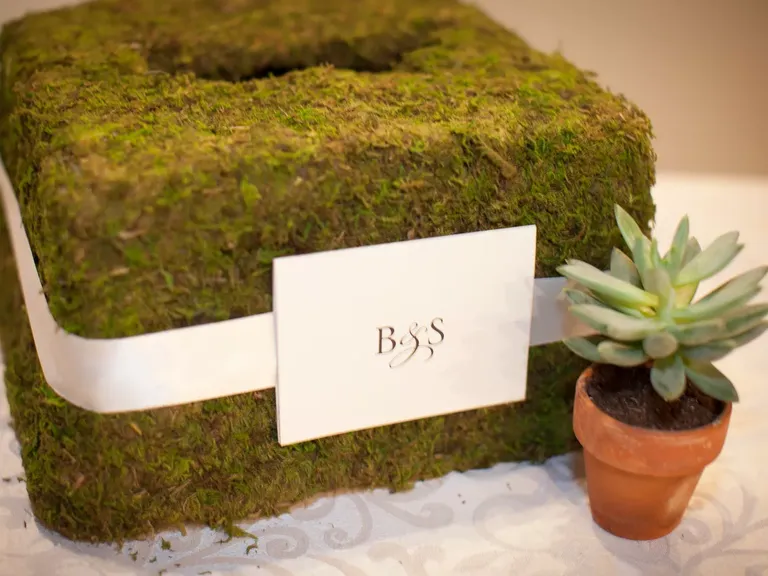 Moss-Covered Card Box