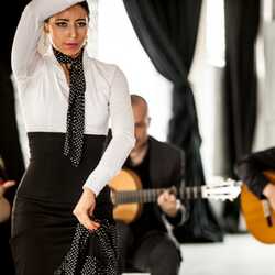 The Martin Metzger Flamenco Ensemble, profile image
