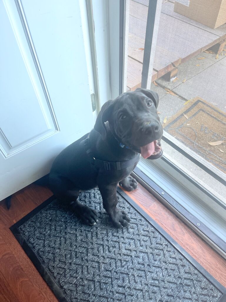 The bestest baby boy!