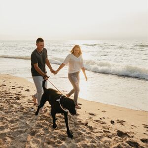 Gallery Photo 37