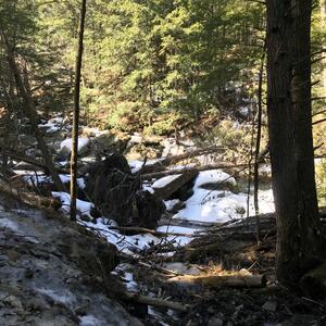 Gallery Photo 17