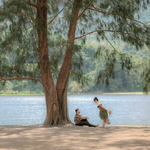 Gallery Photo 34