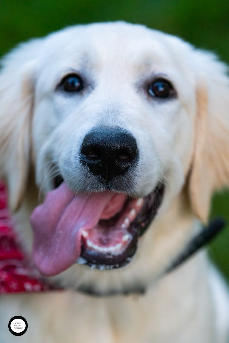 Brought home Maverick!