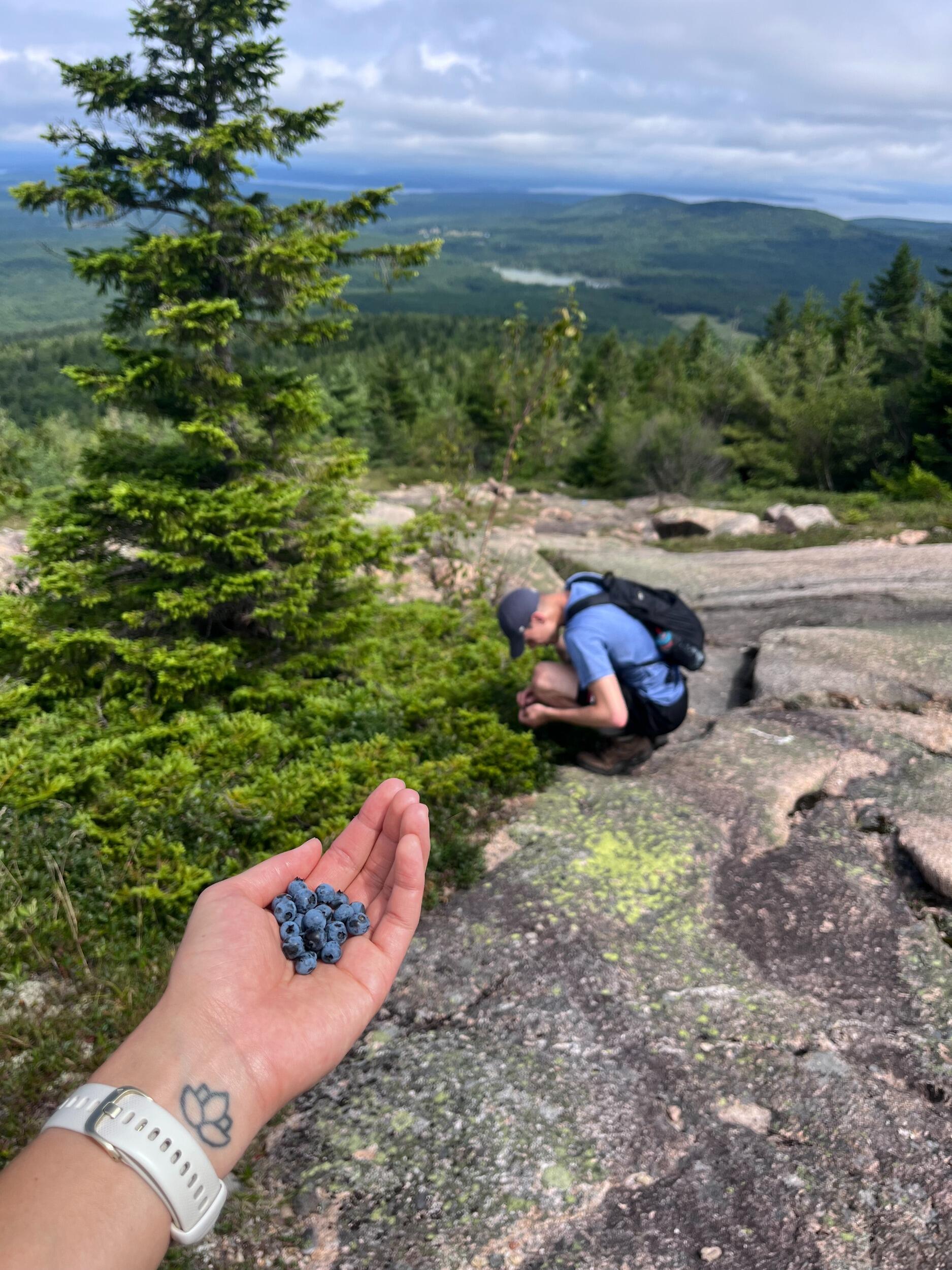 Lienne introduces Eric to the concept of picking fresh Maine blueberries along the trail and he becomes a much slower hiking companion as a result. 