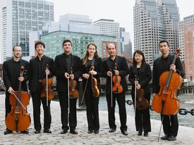 Boston String Ensemble - String Quartet - Cambridge, MA - Hero Gallery 1