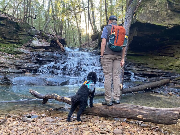 New Year’s Eve adventures at the Sipsey