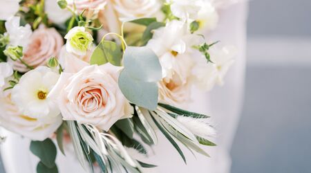 Tiffany Pink Rose Buds Photograph by Emerald Studio Photography